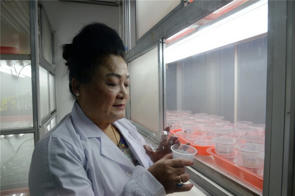 2.鿴씳ưxʳxr(RAzӰ)