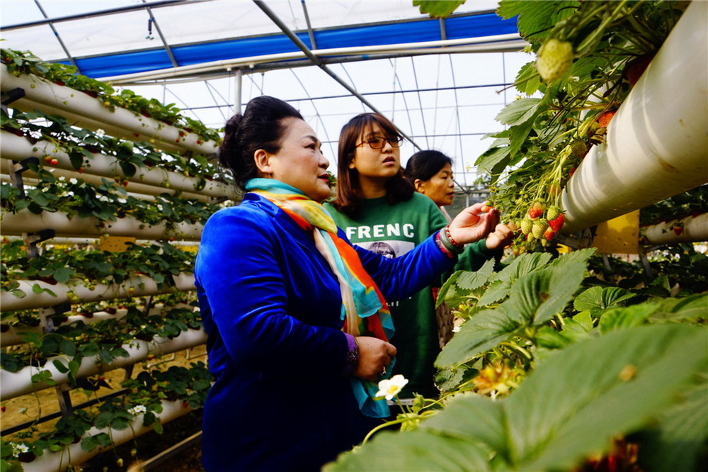 9.G诽IWaز鿴xr(RAzӰ)