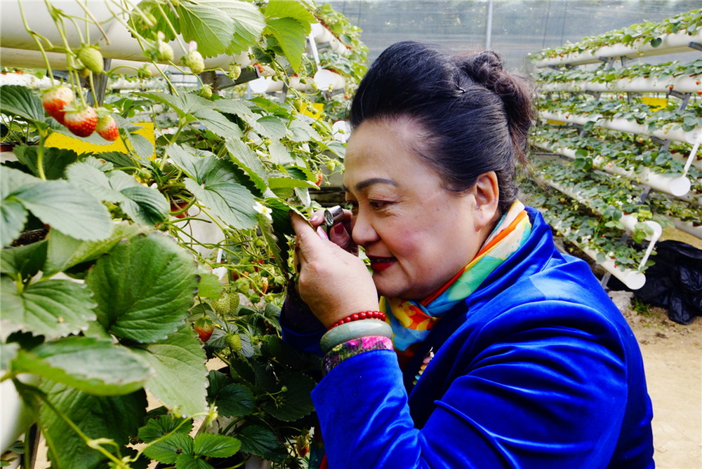 6.SyŴR^첶ʳr(RAzӰ)