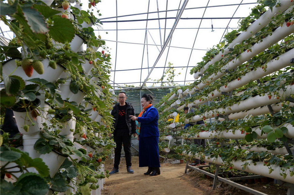 7.ڲݮʾG诽orƏVμgc｡(RAzӰ)