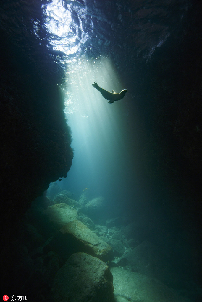 �zӰ����ˮ���BƤС�����v�y ��ҧ����ܡ�5��