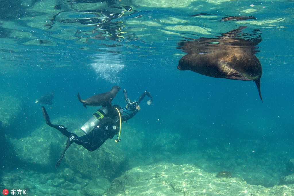 �zӰ����ˮ���BƤС�����v�y ��ҧ����ܡ�3��