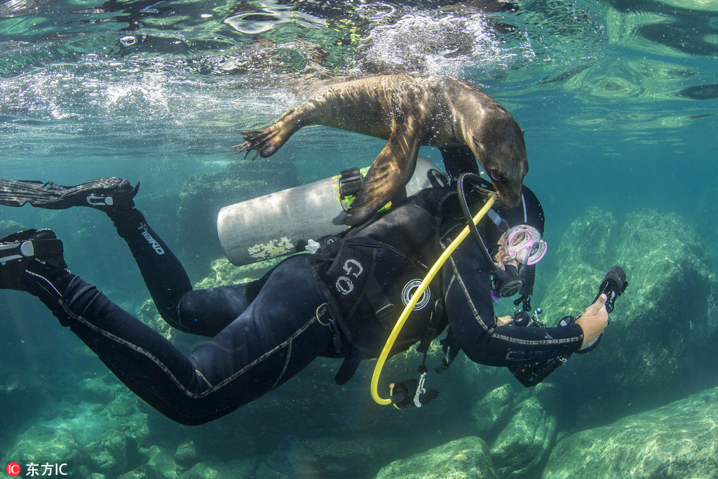 �zӰ����ˮ���BƤС�����v�y ��ҧ����ܡ�2��