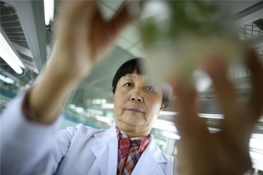 1.֘IоԺɷ޹˾hίӛLN﹤̇cҡϯ(zӰ)