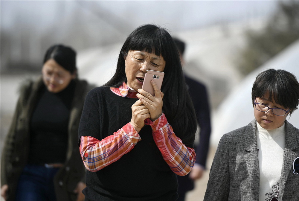 13.mȻѽwn}æf{еĸ(zӰ)