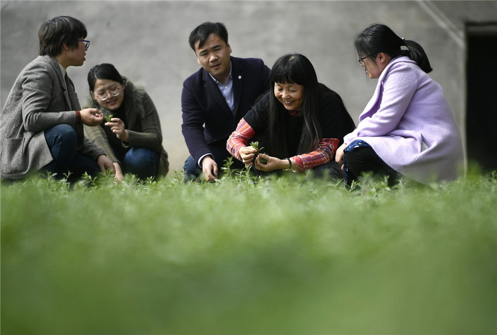 8.cpNڜｻ~ƷN9̖Oʩ༼g̽ӑ9̖ȫʾƏV(zӰ)