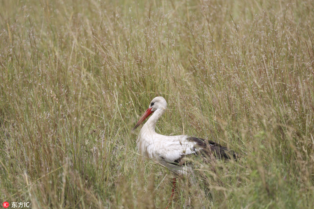 ����̹ɣ�၆���X�ڻ���ħצ���@�U���� �x�����H����֮�6��