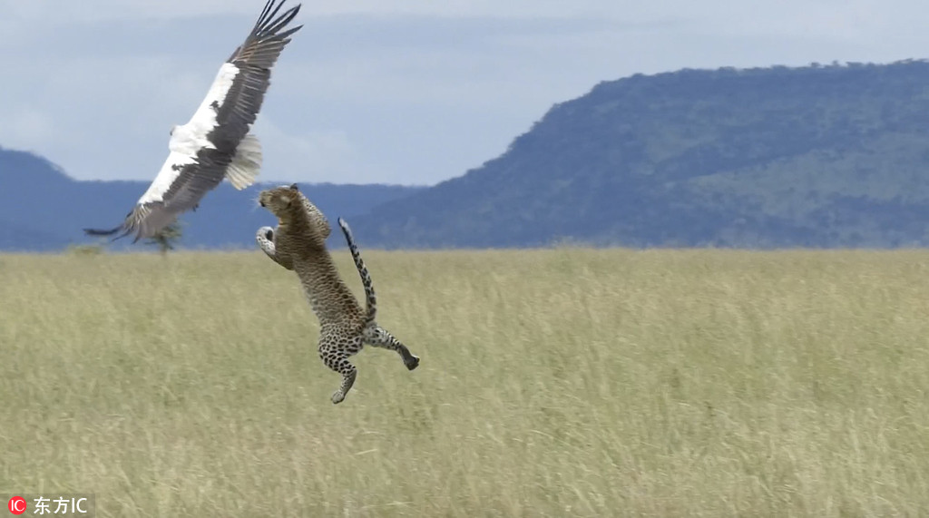 ����̹ɣ�၆���X�ڻ���ħצ���@�U���� �x�����H����֮�3��