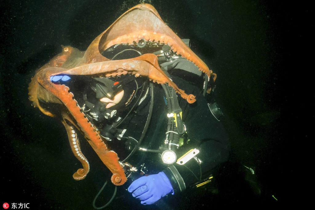 ���ô����ӝ�ˮ�����~���ɡ��C� �����m�p�@�Ą��ǡ�4��