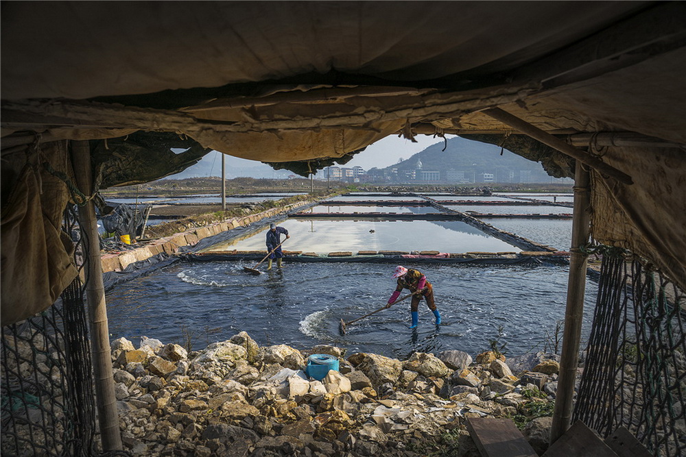 2.}wԼϢǰľ}ɳ