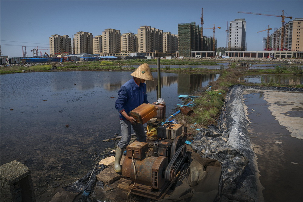 鄭曼麗作品《蒼岙鹽工》