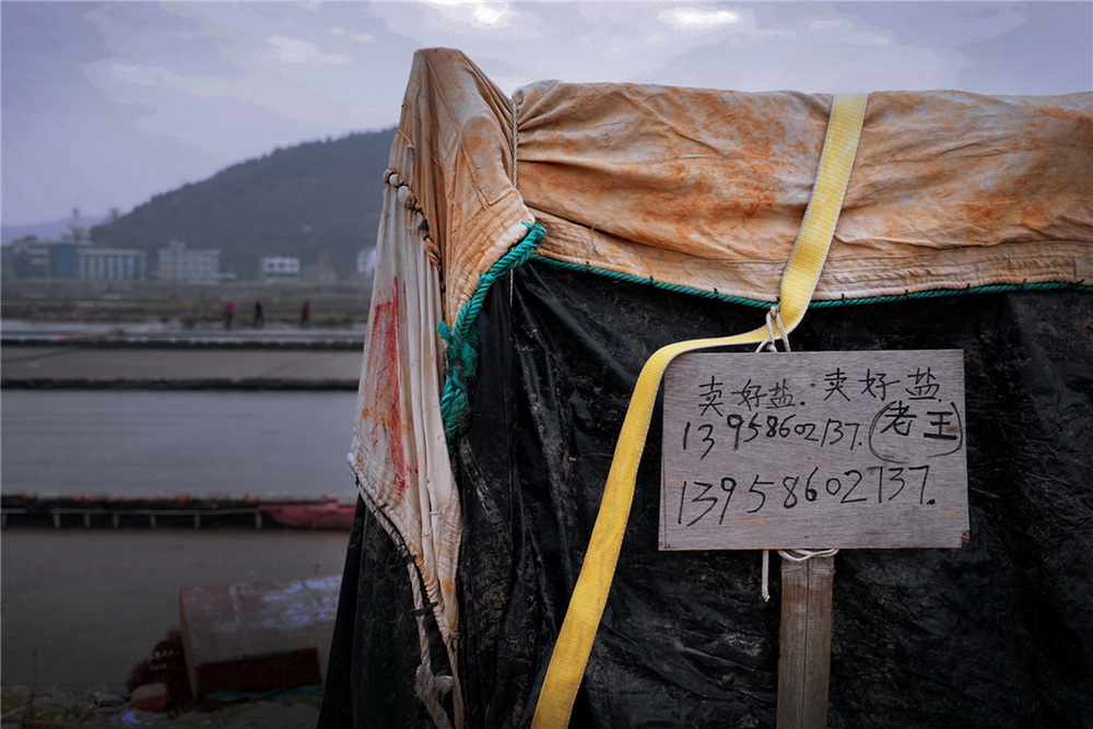 14.RPHн^X}һKUA߅˂VϣԼڷeĺ}׌Լ͹͹^һ옷Ĵ