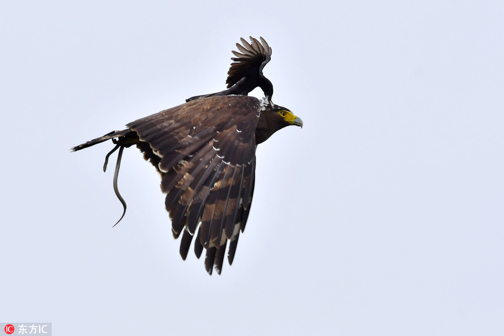 _βBđᅡߵ 䱳ϴ܇5