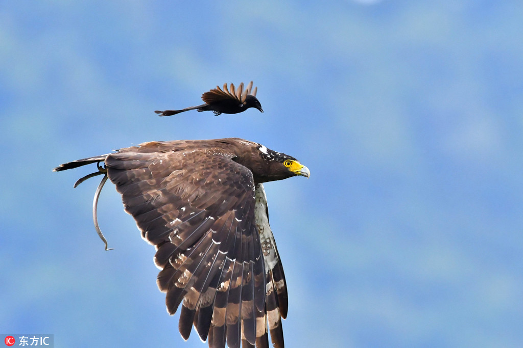 �_����β�B��đ����ᅡ��ߵ� ���䱳�ϴ��܇��3��