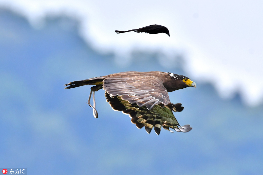 �_����β�B��đ����ᅡ��ߵ� ���䱳�ϴ��܇��2��