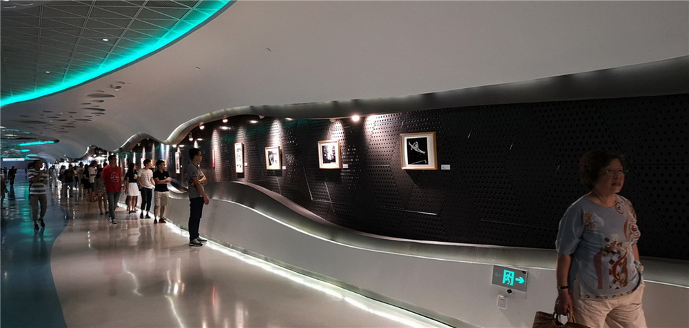 15.rơϺ50-70ŮԔzӰչF