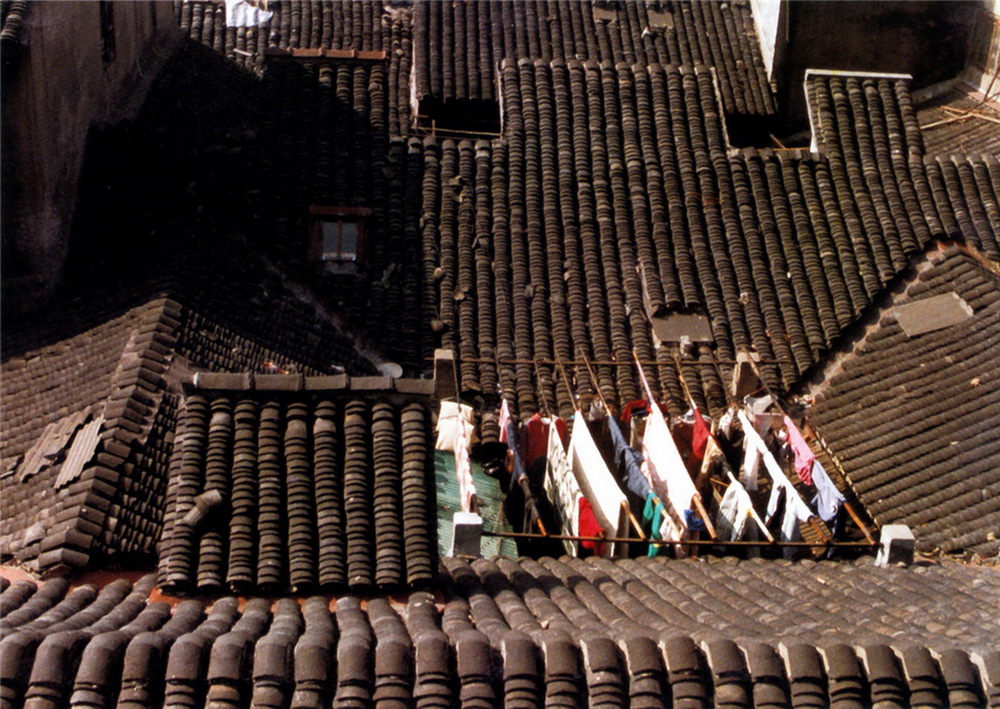 25.ꐿ˼ƷꖹµL顷1999zڱK·476Ū