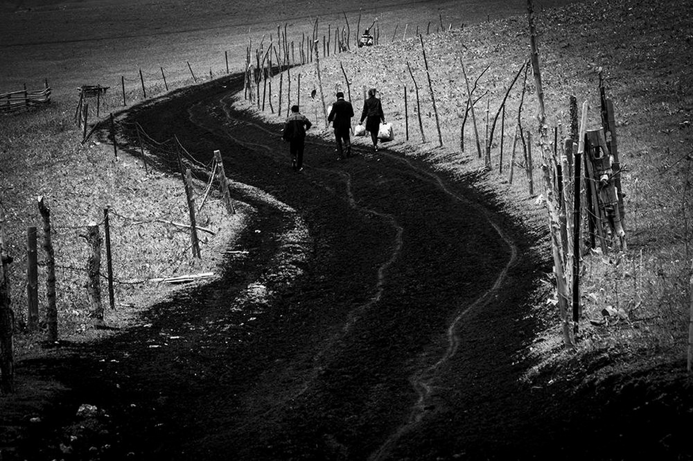 41.λ۾ƷС·z2015