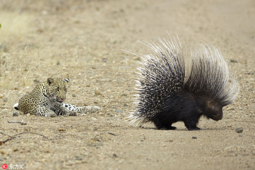 ������ʳ���i�������̡����o�㡱 �o̎����ֻ���ڱ�����߅��ԇ̽��3��