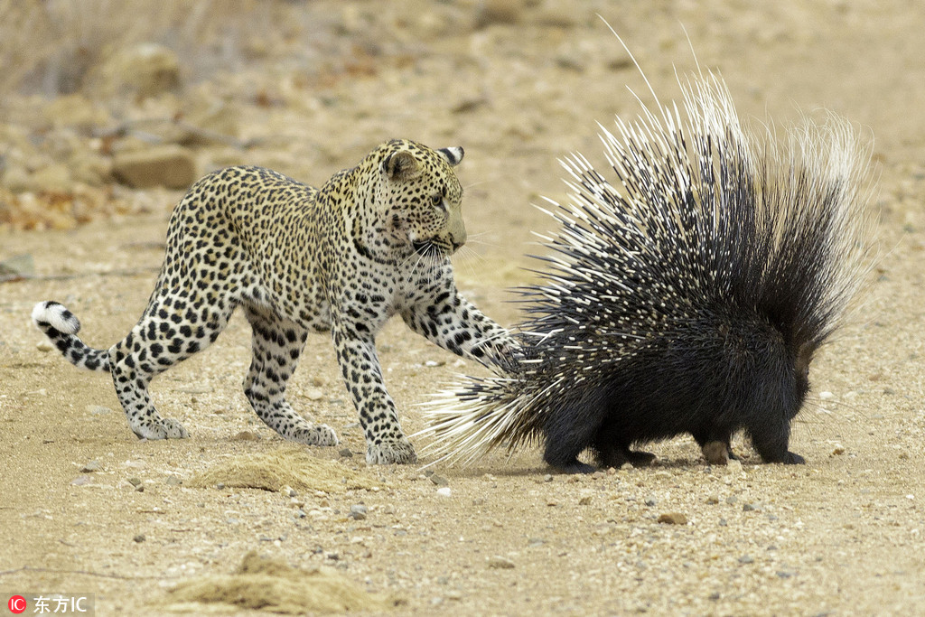 ������ʳ���i�������̡����o�㡱 �o̎����ֻ���ڱ�����߅��ԇ̽��5��