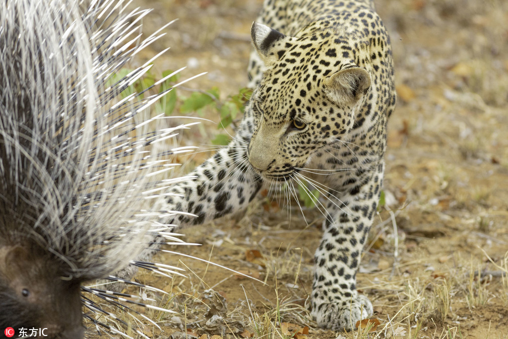 ������ʳ���i�������̡����o�㡱 �o̎����ֻ���ڱ�����߅��ԇ̽��4��