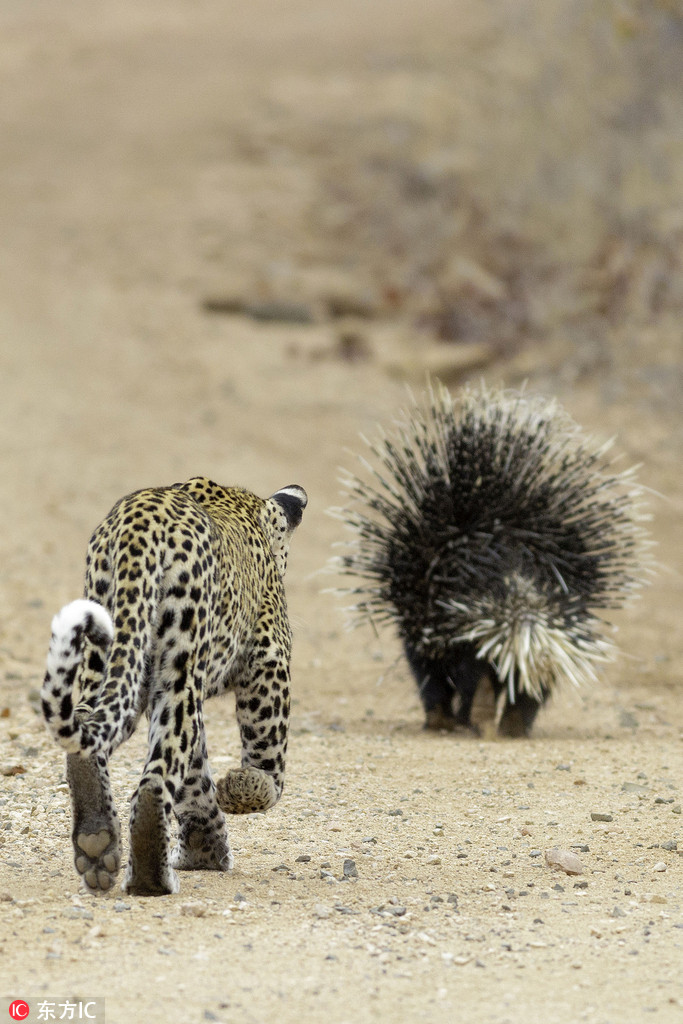 ������ʳ���i�������̡����o�㡱 �o̎����ֻ���ڱ�����߅��ԇ̽��6��