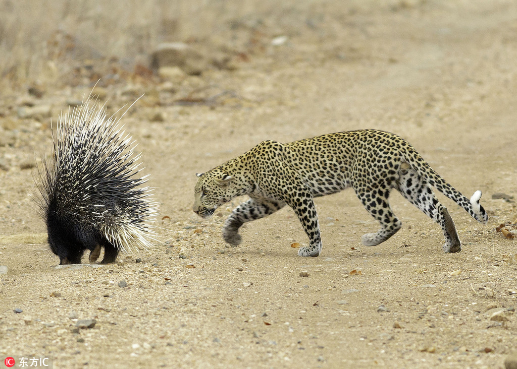 ������ʳ���i�������̡����o�㡱 �o̎����ֻ���ڱ�����߅��ԇ̽��7��