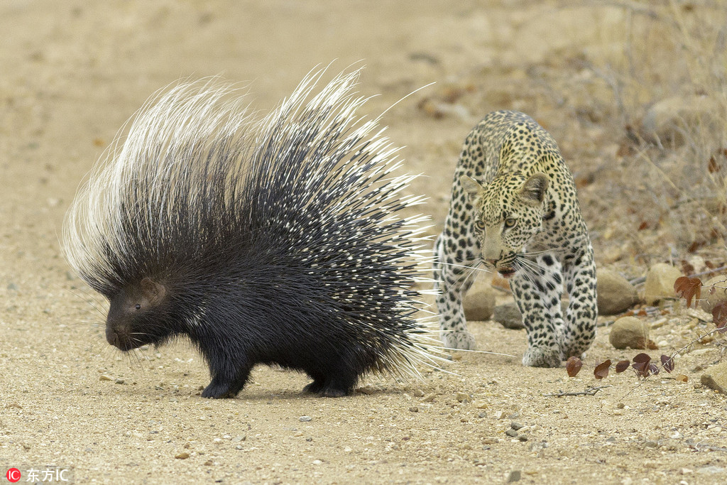 ������ʳ���i�������̡����o�㡱 �o̎����ֻ���ڱ�����߅��ԇ̽��2��