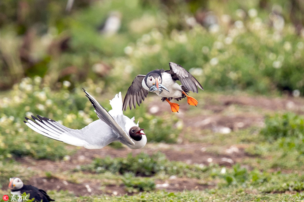 ���治�������W�B�m�������ˊZʳ �ɹ��oסʳ�� ��5��