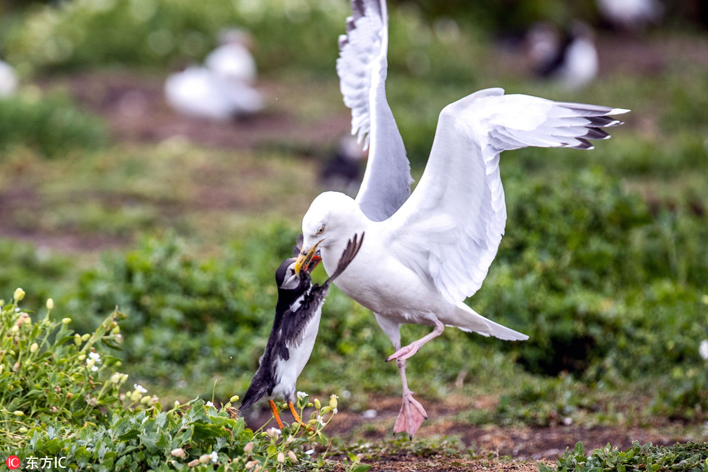 ���治�������W�B�m�������ˊZʳ �ɹ��oסʳ�� ��2��