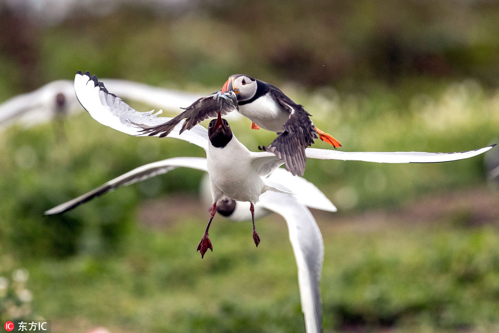 ���治�������W�B�m�������ˊZʳ �ɹ��oסʳ�� ��3��