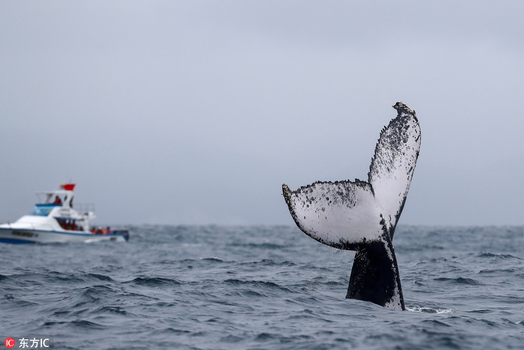 ���^�L��ˮ���ݺ�շ� �L�����ń��^���С����ˡ����5��