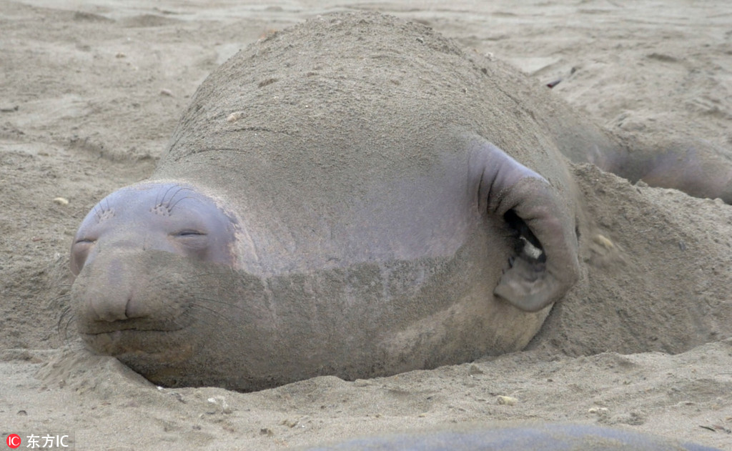 СϰWWȤD ˄ǧٹЦˡ4