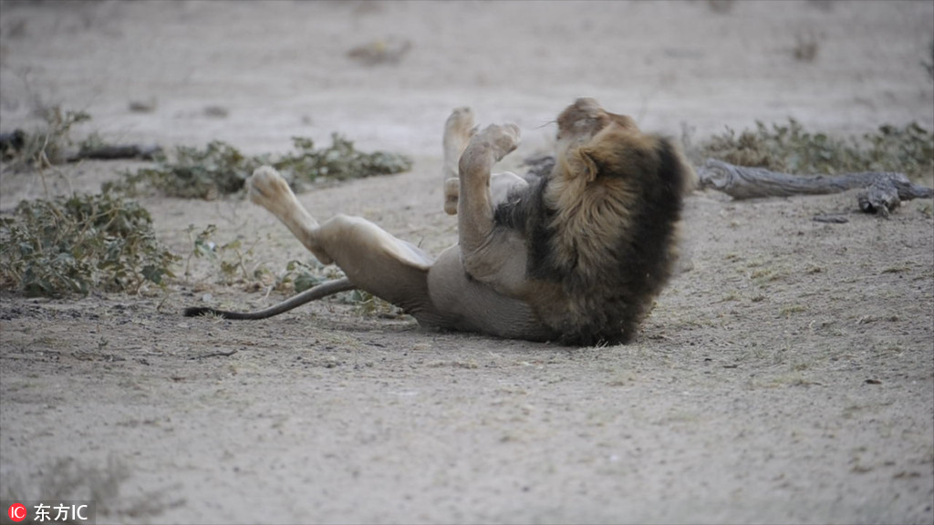 СϰWWȤD ˄ǧٹЦˡ7