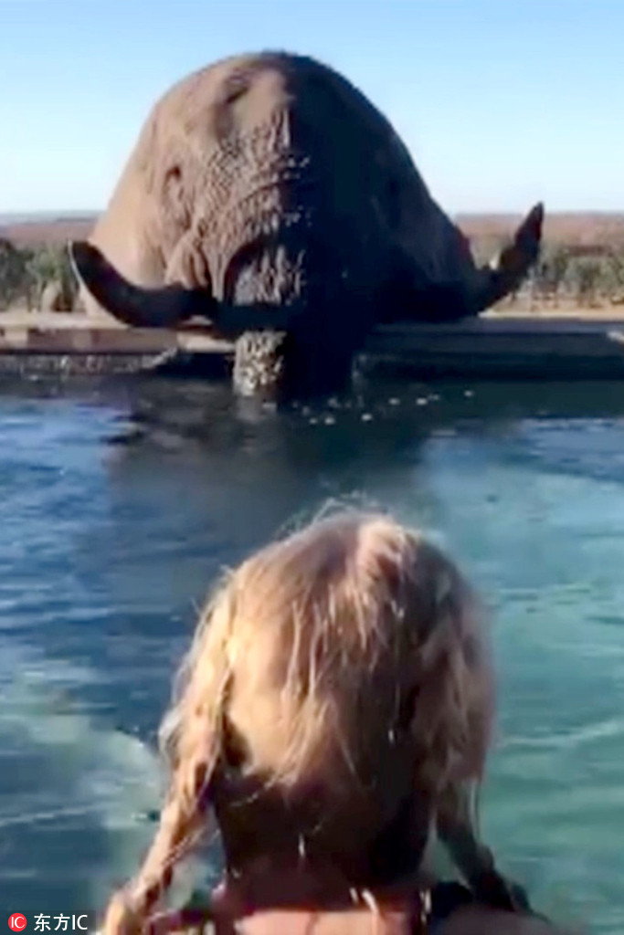 �ϷǴ���Ȼ�J��Ƶ�Ӿ�� ���조��������ο͡�4��