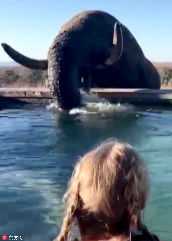 �ϷǴ���Ȼ�J��Ƶ�Ӿ�� ���조��������ο͡�3��