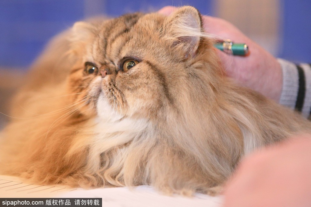 ����ʥ���_��؈�������ِ�_ʼ������ʽ؈��ܛ������ů�����ġ�4��