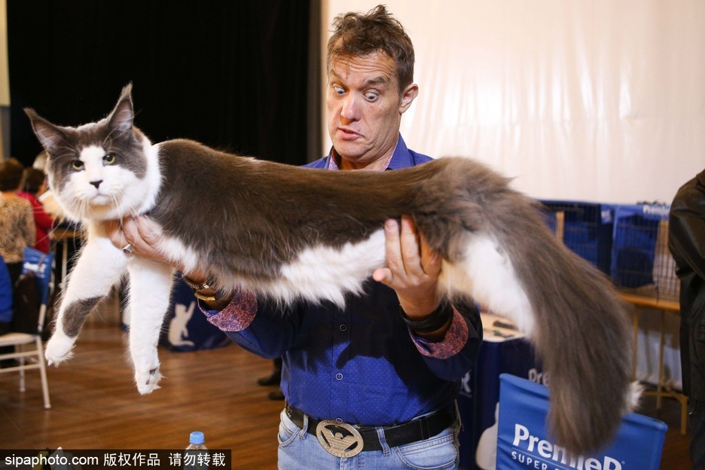 ����ʥ���_��؈�������ِ�_ʼ������ʽ؈��ܛ������ů�����ġ�2��