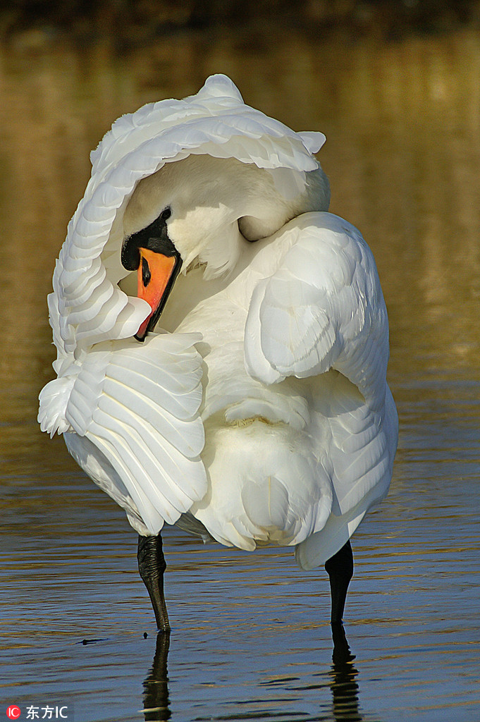 Pcﺦһ סСĘģȱ2