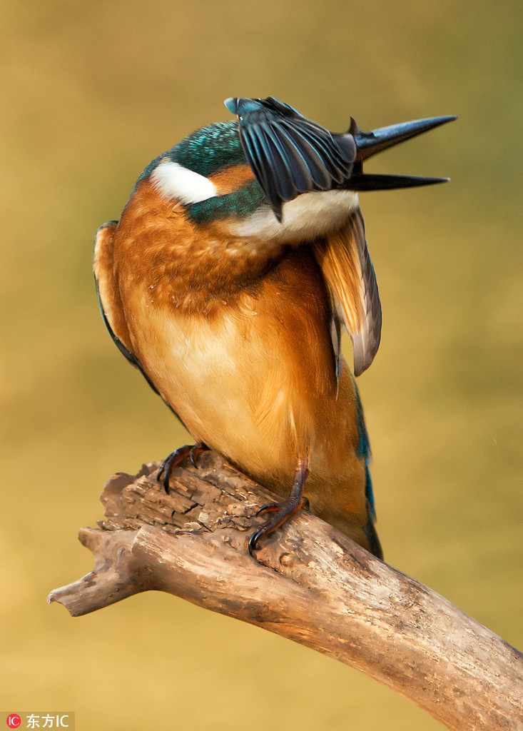 Pcﺦһ סСĘģȱ7