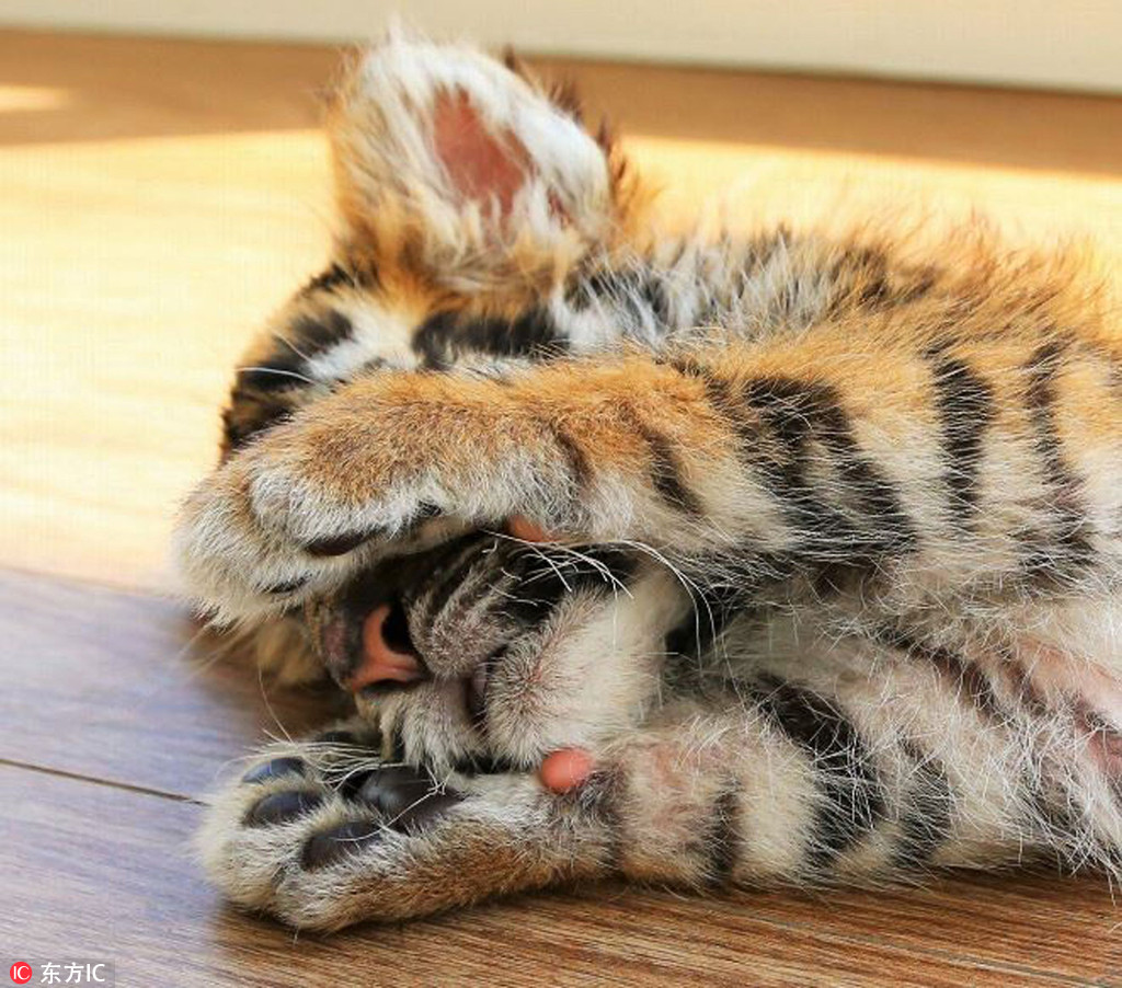 Pcﺦһ סСĘģȱ5