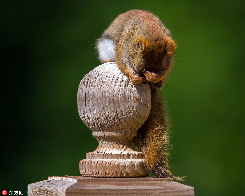 Pcﺦһ סСĘģȱ9