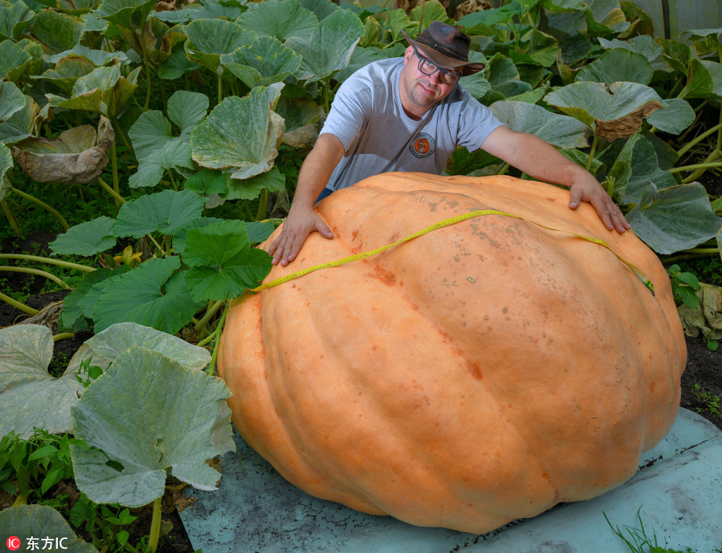 �����_�۽��������ӷN��400��������Ϲϡ�2��