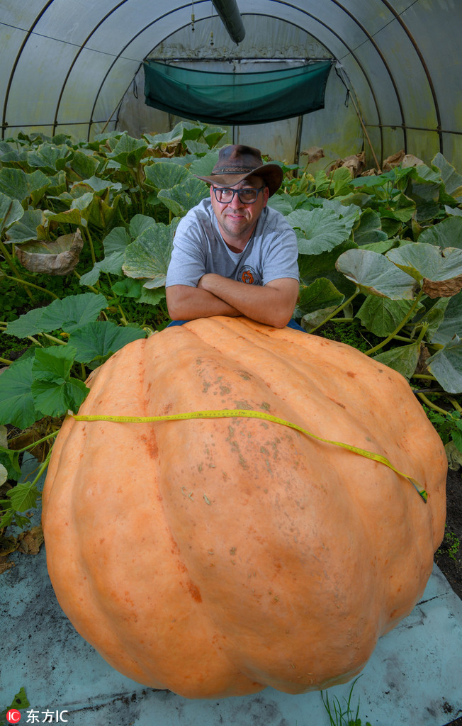 �����_�۽��������ӷN��400��������Ϲϡ�4��