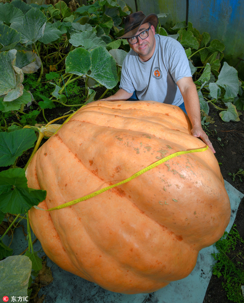 _۽ӷN400Ϲϡ5