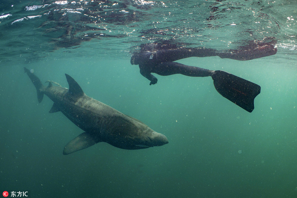 ���~������������ˮ�Tˮ�������@��һ�̡�2��