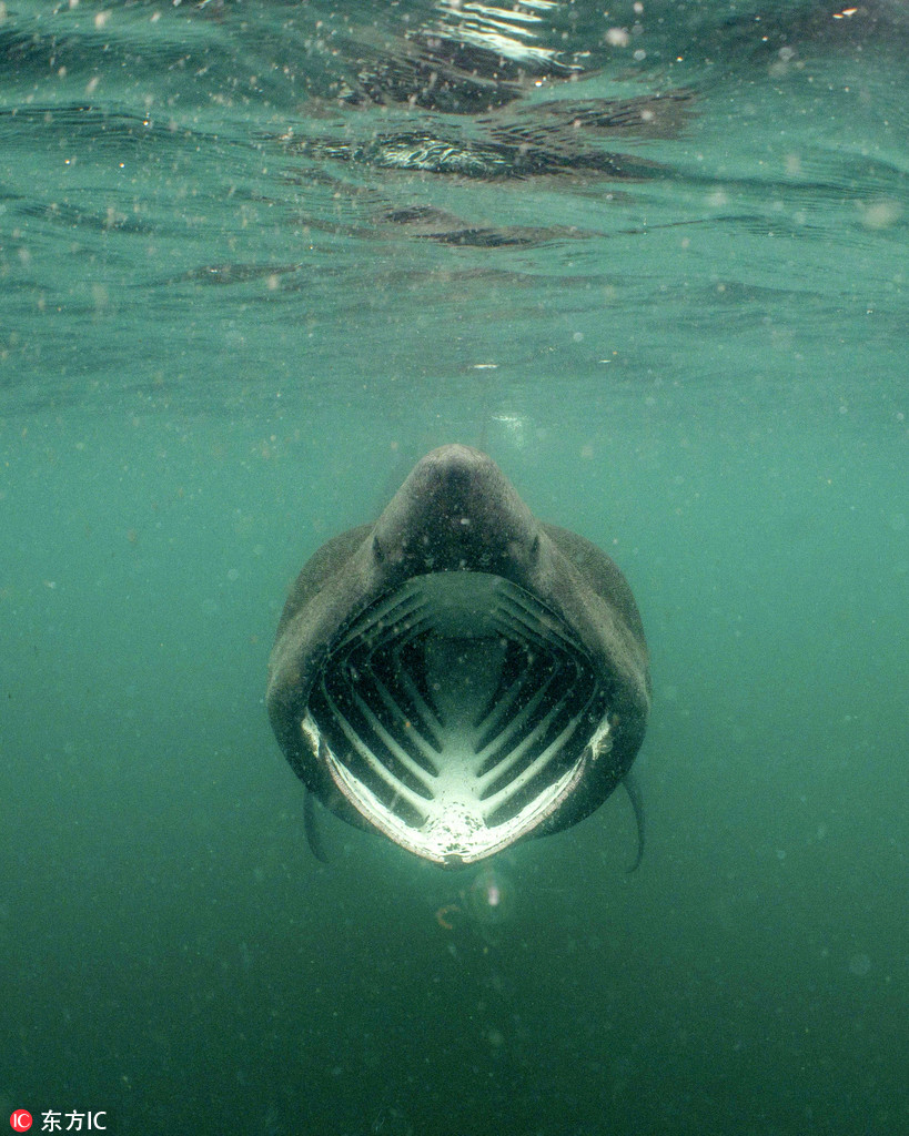 ���~������������ˮ�Tˮ�������@��һ�̡�5��