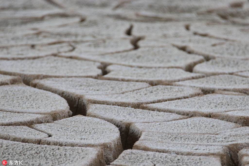 ���u�������� ��ˮ�ںӴ����Ѡ��綹���K��4��