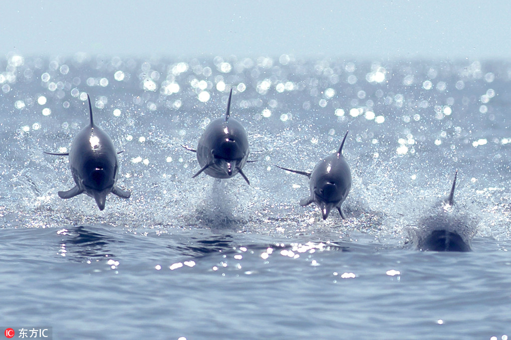 ���^�����R�R�S������ �·��w���еđ𶷙C��3��