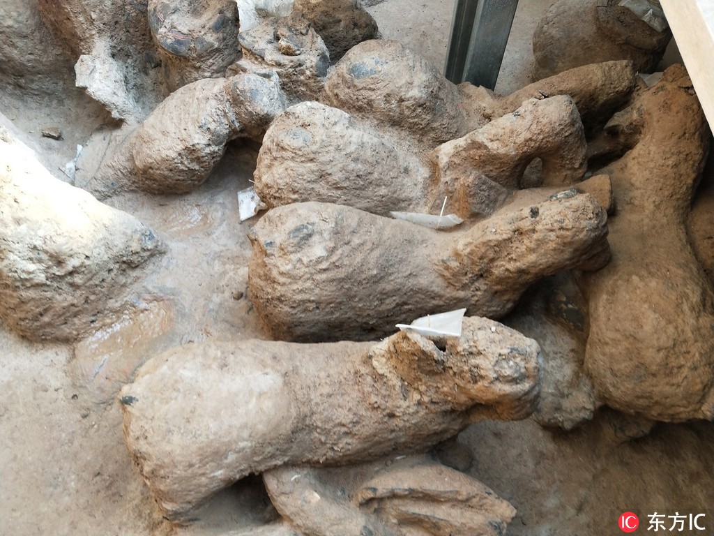 26̖�Ĕz�Ŀ��ŬF����